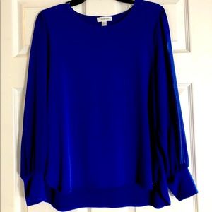 Calvin Klein Long Sheer Sleeves Blouse